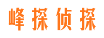 惠济市私家侦探